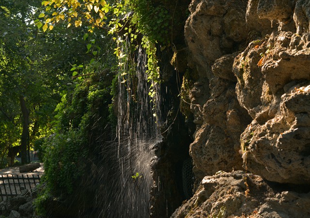 Cismigiu 020