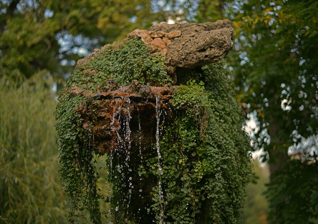 Cismigiu 022